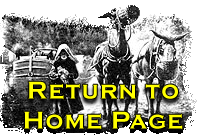 Home Page Return